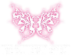 The Butterfly Effect